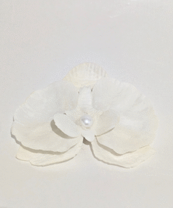 Fiorella